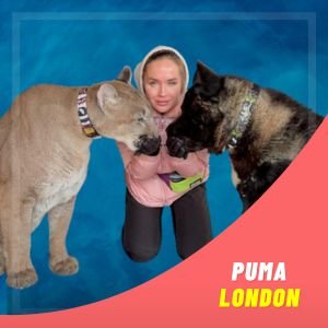 Puma London Image With Pet