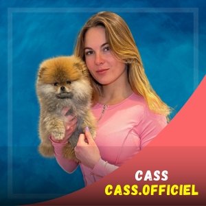 Cass.officiel Image